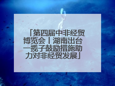 第四届中非经贸博览会丨湖南出台一揽子鼓励措施助力对非经贸发展