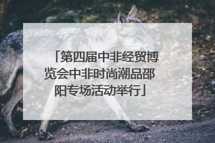 第四届中非经贸博览会中非时尚潮品邵阳专场活动举行