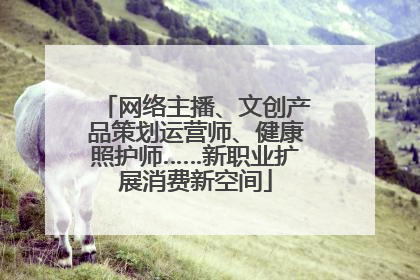 网络主播、文创产品策划运营师、健康照护师……新职业扩展消费新空间