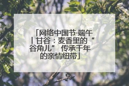 网络中国节·端午丨甘谷：麦香里的“谷角儿” 传承千年的亲情纽带