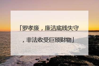罗孝廉，廉洁底线失守，非法收受巨额财物