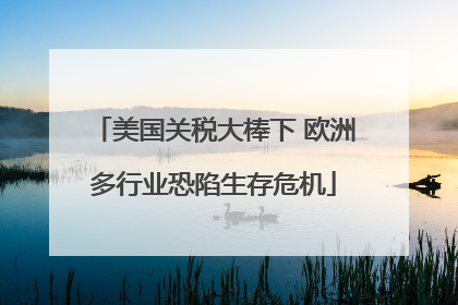 美国关税大棒下 欧洲多行业恐陷生存危机