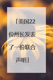 美国22位州长发表了一份联合声明