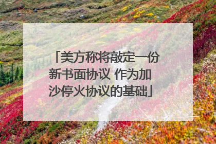 美方称将敲定一份新书面协议 作为加沙停火协议的基础