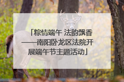 粽情端午 法韵飘香——南阳卧龙区法院开展端午节主题活动