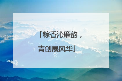粽香沁廉韵，青创展风华