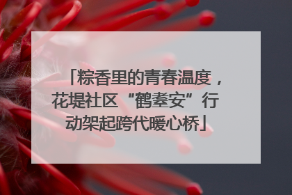粽香里的青春温度，花堤社区“鹤耋安”行动架起跨代暖心桥
