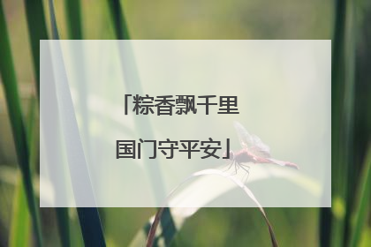 粽香飘千里 国门守平安