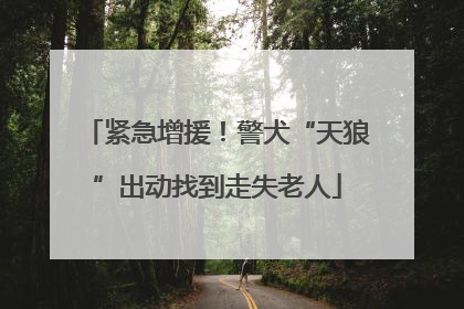 紧急增援！警犬“天狼”出动找到走失老人