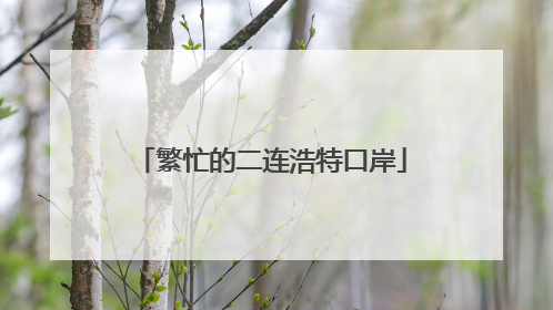 繁忙的二连浩特口岸