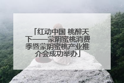 红动中国 桃醉天下——蒙阴蜜桃消费季暨蒙阴蜜桃产业推介会成功举办