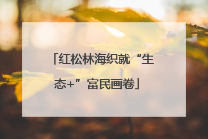 红松林海织就“生态+”富民画卷