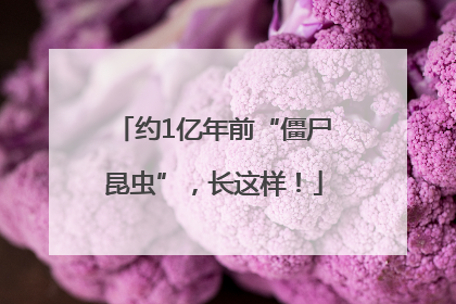 约1亿年前“僵尸昆虫”，长这样！