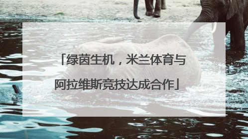 绿茵生机，米兰体育与阿拉维斯竞技达成合作