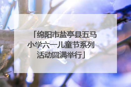 绵阳市盐亭县五马小学六一儿童节系列活动圆满举行