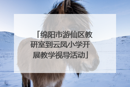 绵阳市游仙区教研室到云凤小学开展教学视导活动