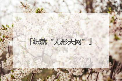 织就“无形天网”