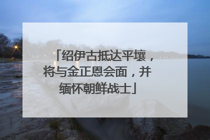 绍伊古抵达平壤，将与金正恩会面，并缅怀朝鲜战士