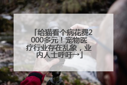 给猫看个病花费2000多元！宠物医疗行业存在乱象，业内人士呼吁→