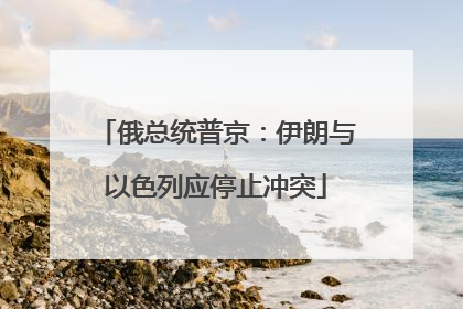 俄总统普京：伊朗与以色列应停止冲突