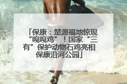 保康：楚源福地惊现“嘎嘎鸡”！国家“三有”保护动物石鸡亮相保康沿河公园