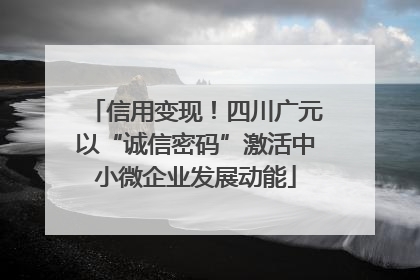 信用变现！四川广元以“诚信密码”激活中小微企业发展动能