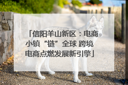 信阳羊山新区：电商小镇“链”全球 跨境电商点燃发展新引擎