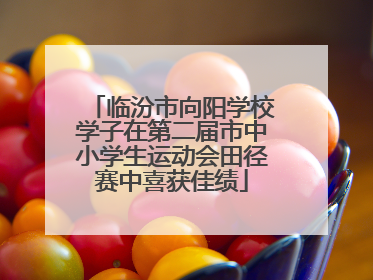 临汾市向阳学校学子在第二届市中小学生运动会田径赛中喜获佳绩