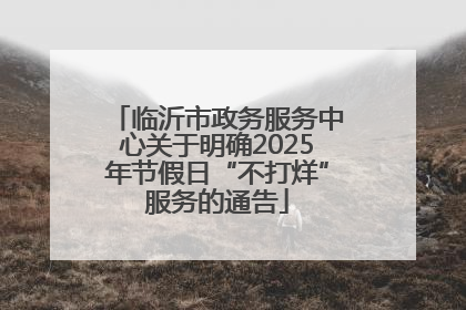 临沂市政务服务中心关于明确2025年节假日“不打烊”服务的通告