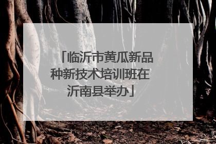 临沂市黄瓜新品种新技术培训班在沂南县举办