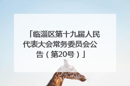 临淄区第十九届人民代表大会常务委员会公告（第20号）