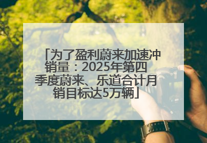 为了盈利蔚来加速冲销量：2025年第四季度蔚来、乐道合计月销目标达5万辆
