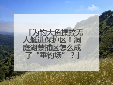 为钓大鱼操控无人艇进保护区！洞庭湖禁捕区怎么成了“垂钓场”？