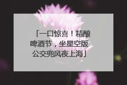 一口惊喜！精酿啤酒节，坐星空版公交兜风夜上海