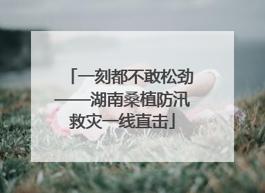 一刻都不敢松劲——湖南桑植防汛救灾一线直击