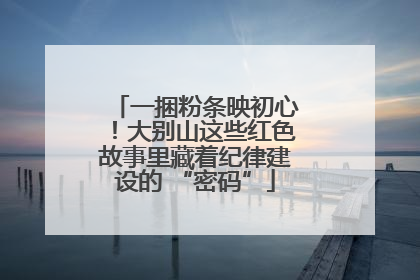 一捆粉条映初心！大别山这些红色故事里藏着纪律建设的 “密码”