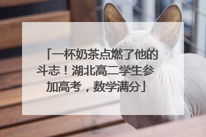 一杯奶茶点燃了他的斗志！湖北高二学生参加高考，数学满分
