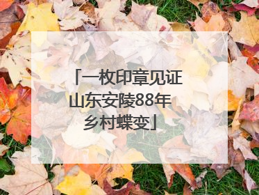 一枚印章见证山东安陵88年乡村蝶变