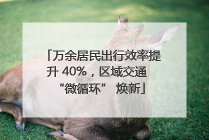 万余居民出行效率提升 40%，区域交通 “微循环” 焕新