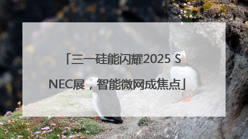三一硅能闪耀2025 SNEC展，智能微网成焦点