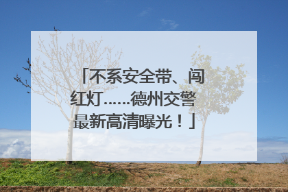 不系安全带、闯红灯……德州交警最新高清曝光！