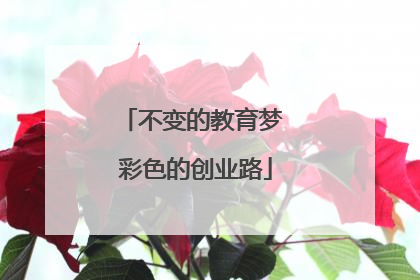 不变的教育梦 彩色的创业路