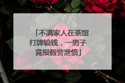 不满家人在茶馆打牌输钱，一男子竟报假警泄愤