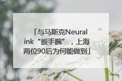 与马斯克Neuralink“扳手腕”，上海两位90后为何能做到