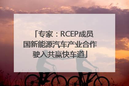 专家：RCEP成员国新能源汽车产业合作驶入共赢快车道
