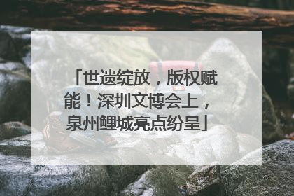 世遗绽放，版权赋能！深圳文博会上，泉州鲤城亮点纷呈