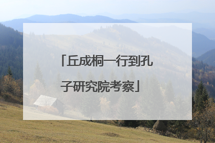 丘成桐一行到孔子研究院考察