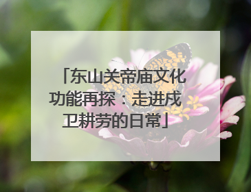 东山关帝庙文化功能再探：走进戍卫耕劳的日常
