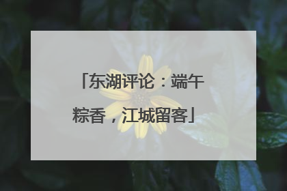 东湖评论：端午粽香，江城留客