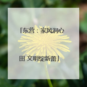 东营：家风润心田 文明绽新蕾